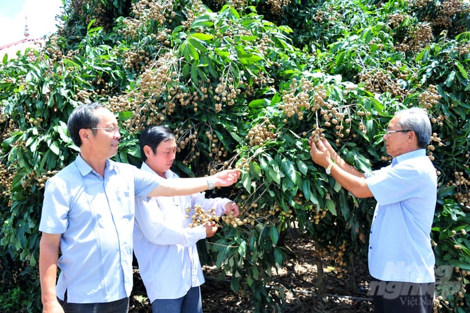 Xác nhận bản đồ địa lý đối với nhãn hiệu chứng nhận nhãn Châu Thành